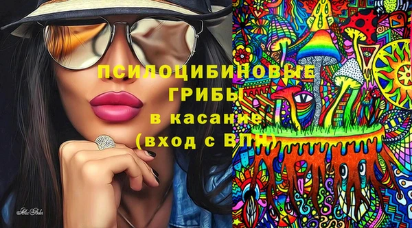 гашик Балабаново