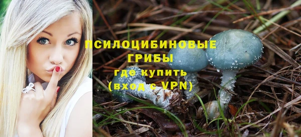 MESCALINE Нязепетровск