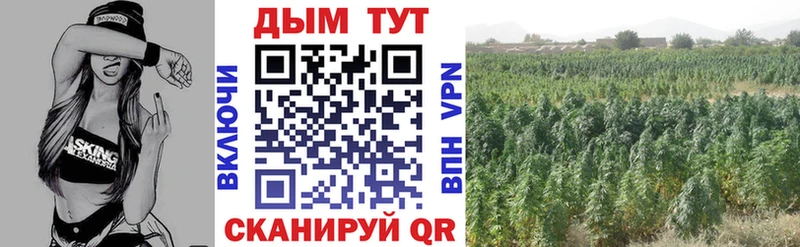 Марихуана гибрид  купить наркотики цена  Черняховск 